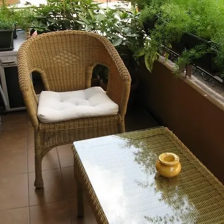 Artemisia Bb Verona